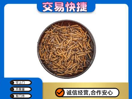 牡丹江回收散虫草